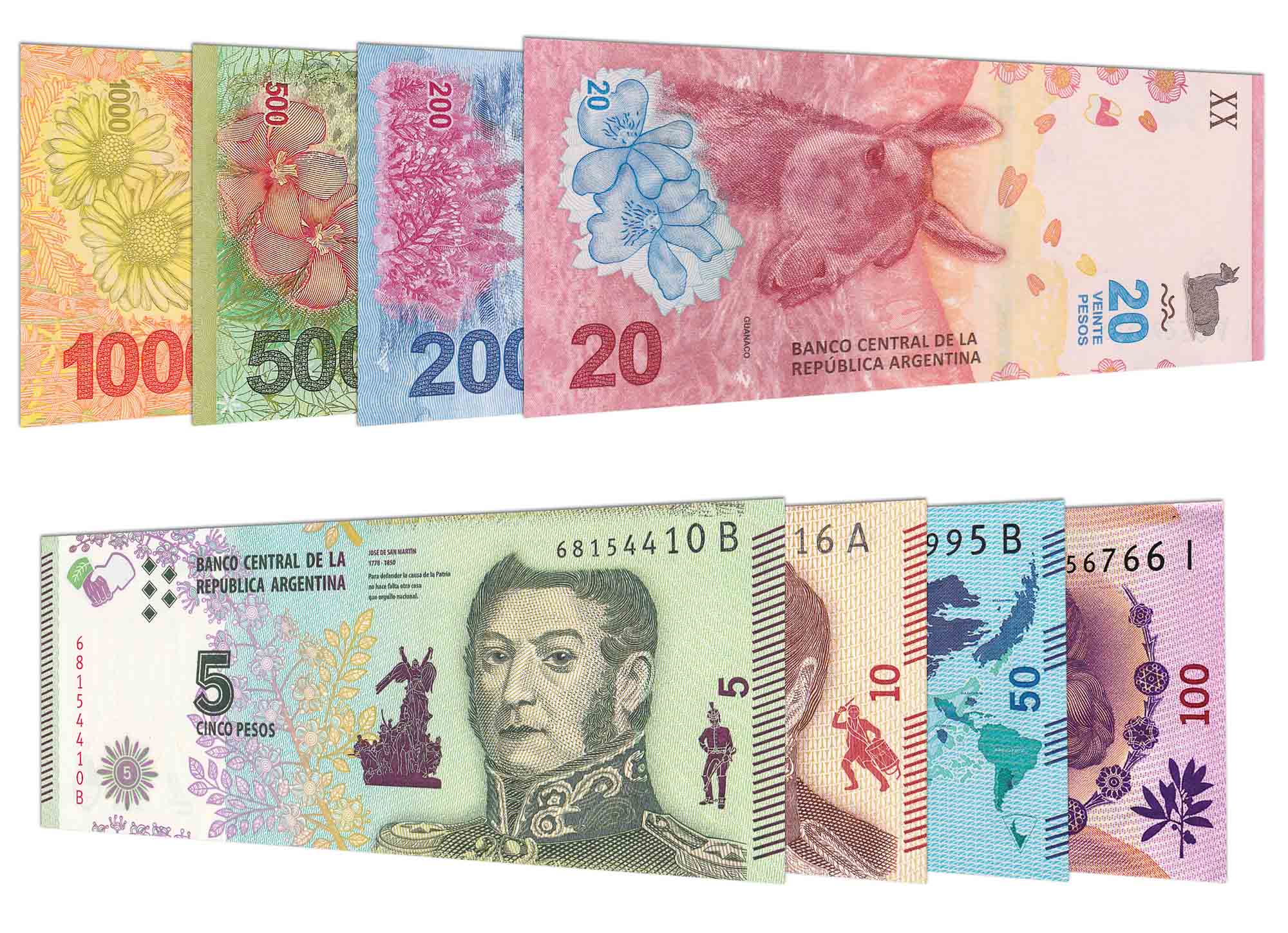 Argentinian Money