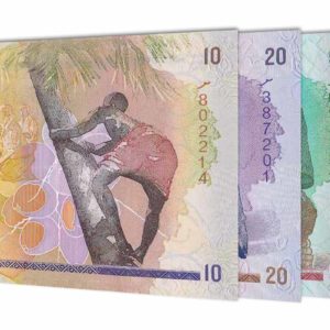 Maldivian Rufiyaa banknotes