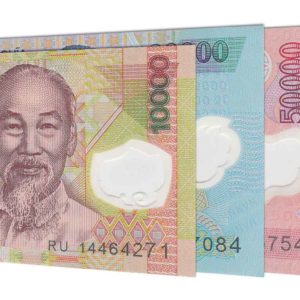 Vietnamese Dong banknotes