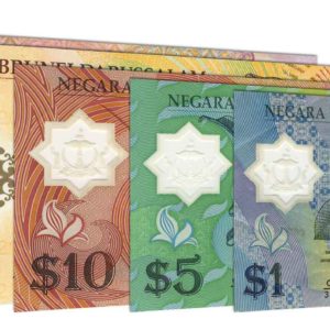 Brunei Dollar banknotes