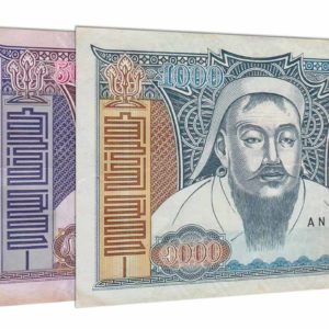 Mongolian Tugrik banknotes