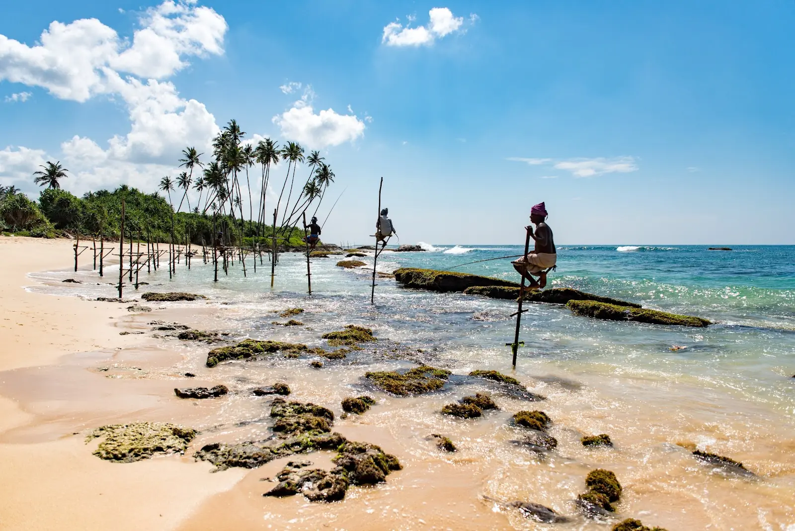 Boys fishing on a Sri Lankan beach using long polls.
