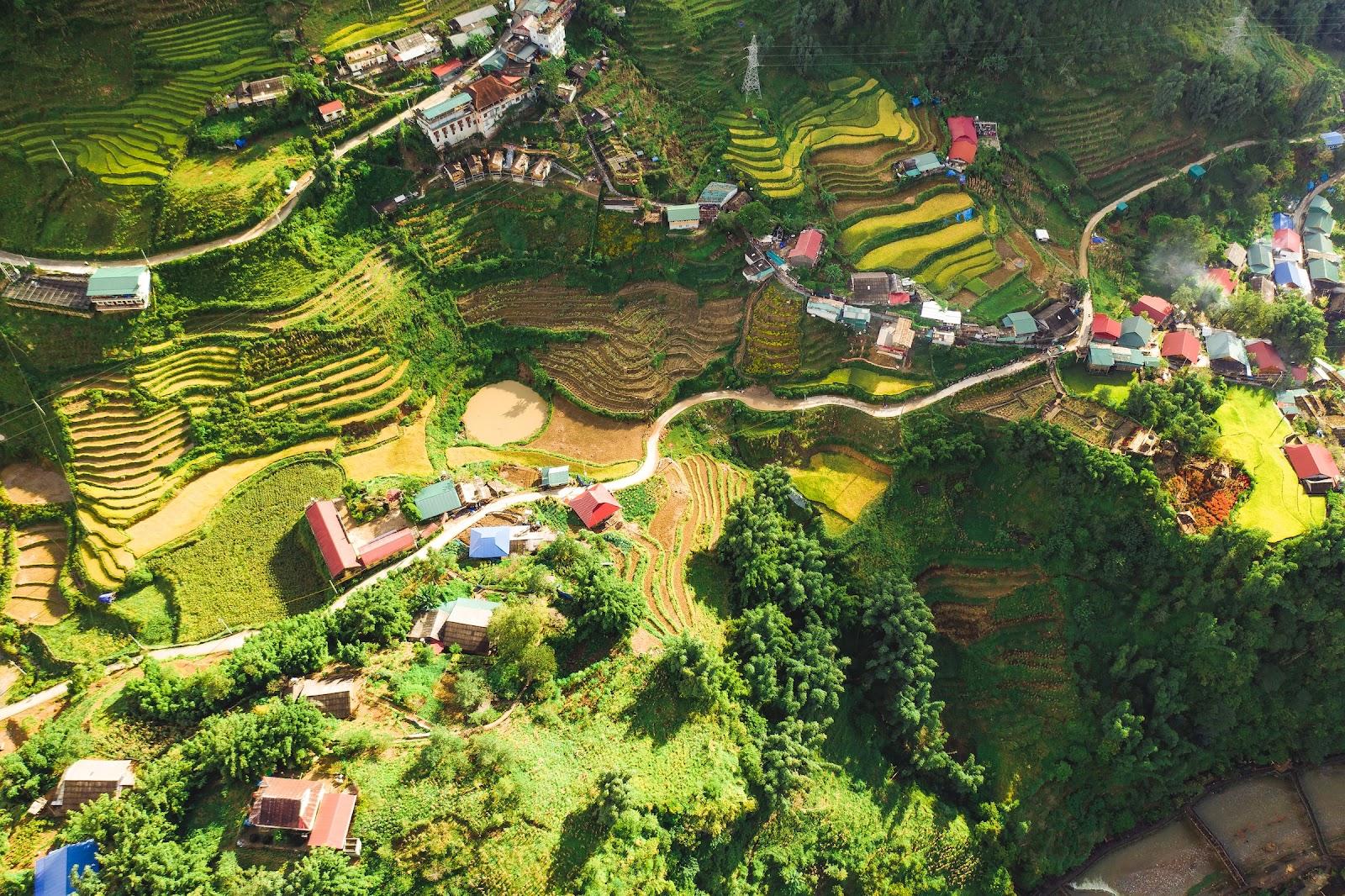 A birds eye view of rice fields in Vietnam.