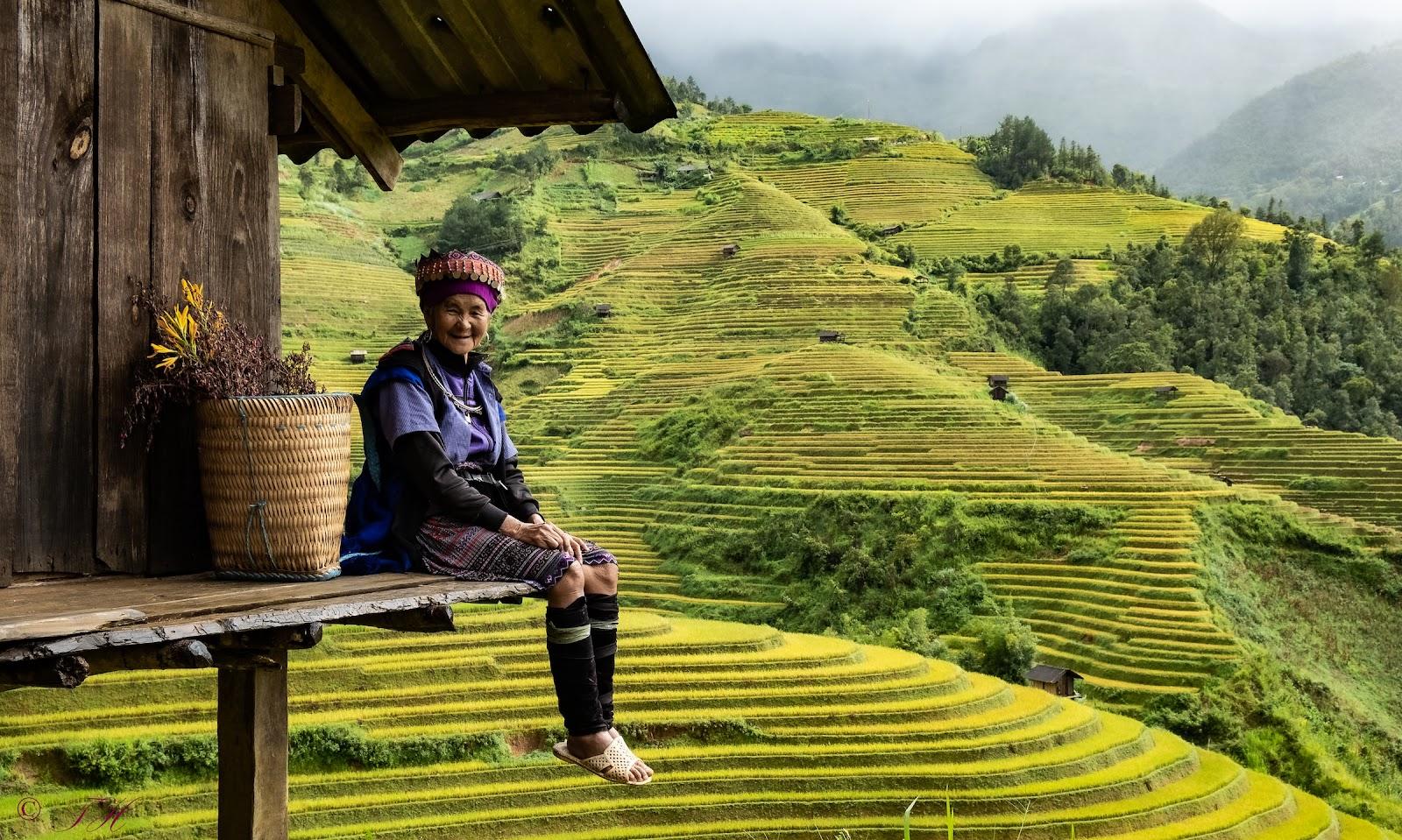 An elderly women sitting outside a house looking at the rice fields in Vietnam.