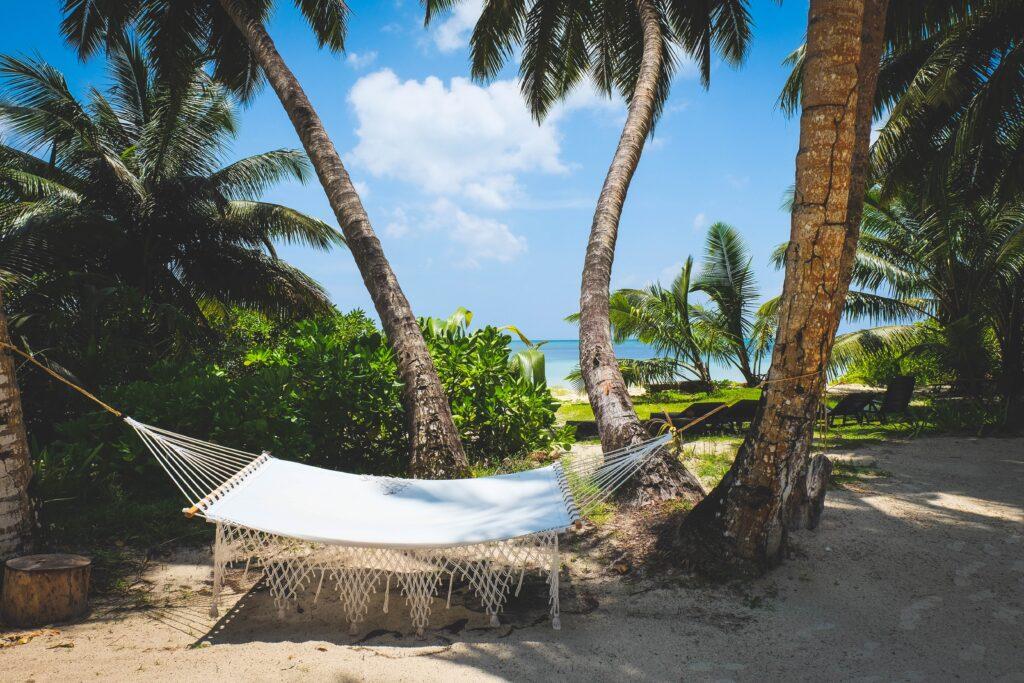 Hammock strung up between palm trees on a beach in the Seychelles