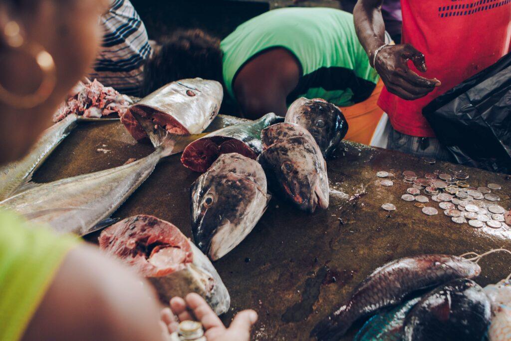 Fresh fish being sold at a local market in the Seychelles