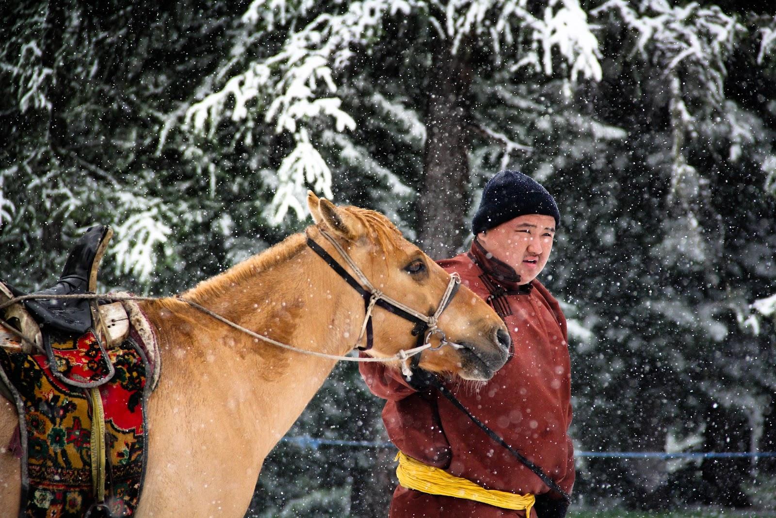 A Mongolian man guides a horse through a forrest.