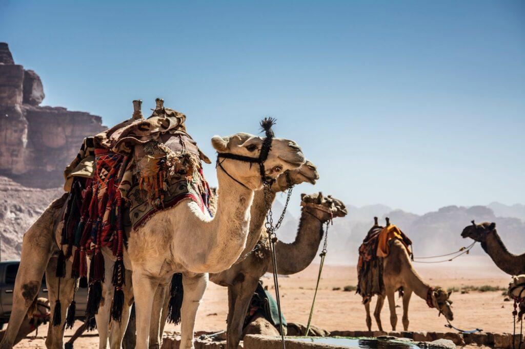 Wadi Rum desert Jordan