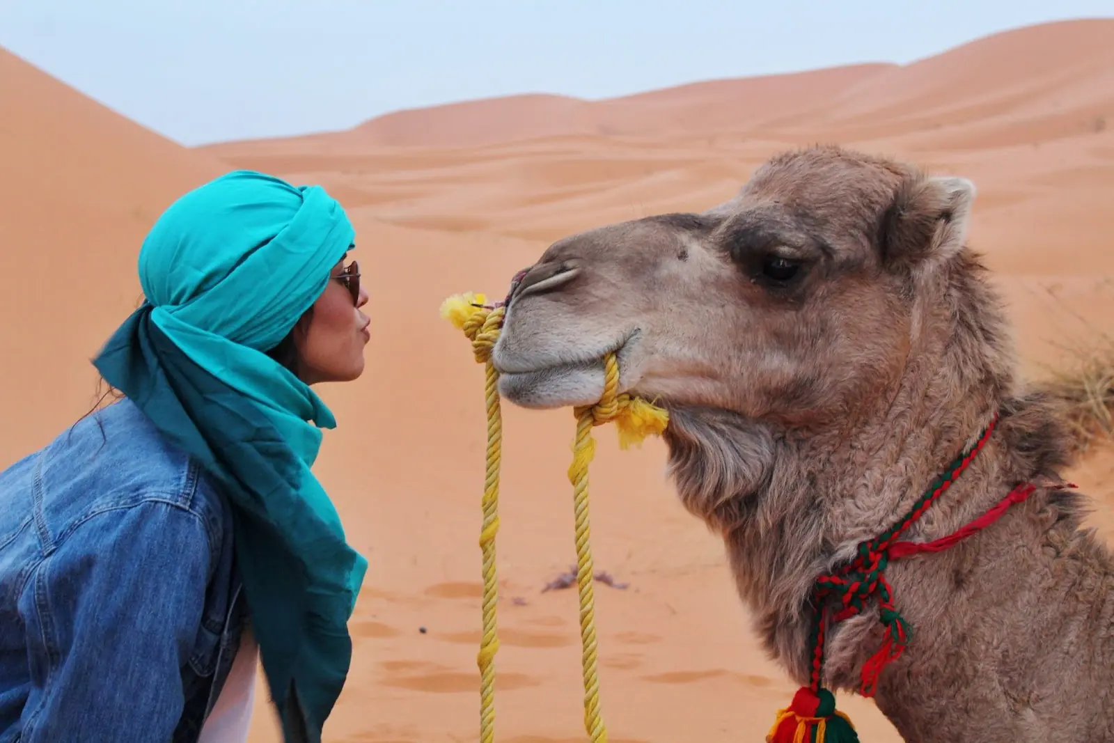 A women steering into the eyes of a camel at close range. 