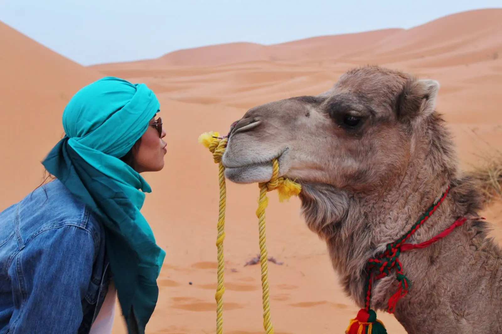 A women steering into the eyes of a camel at close range.