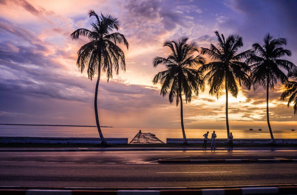 Silhouette of palm trees at sunset in Gabon