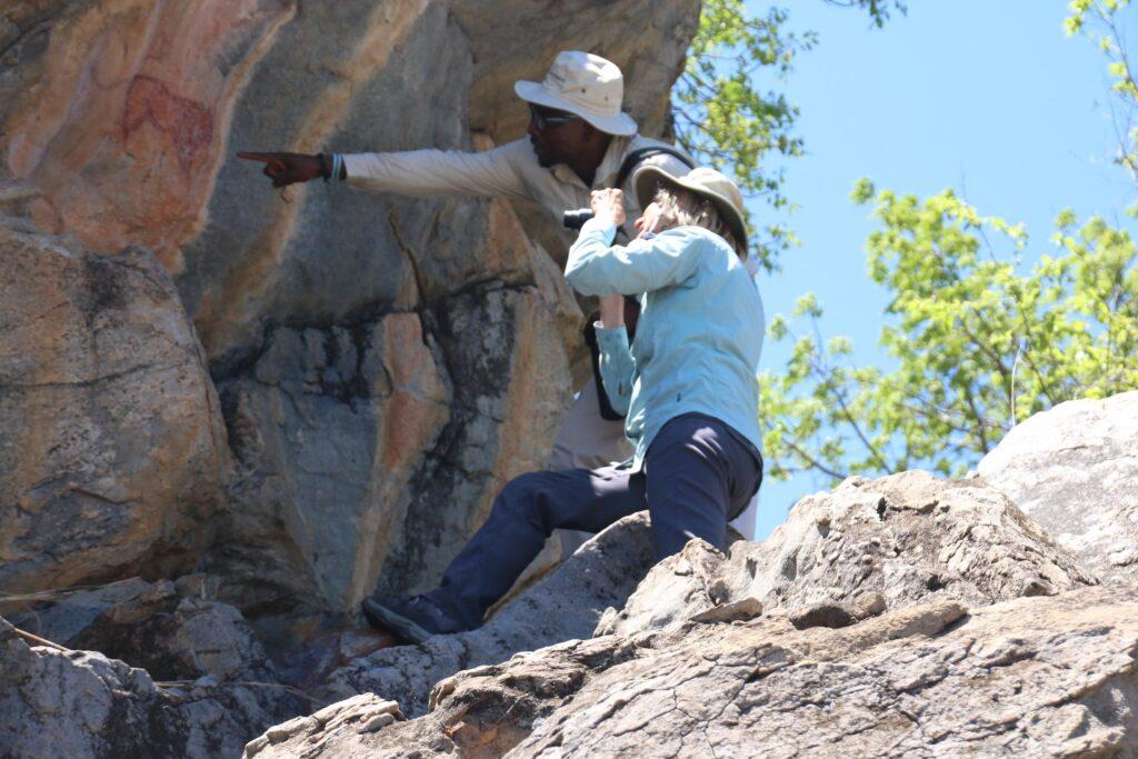 Botswana safari guide pointing out wildlife to tourists