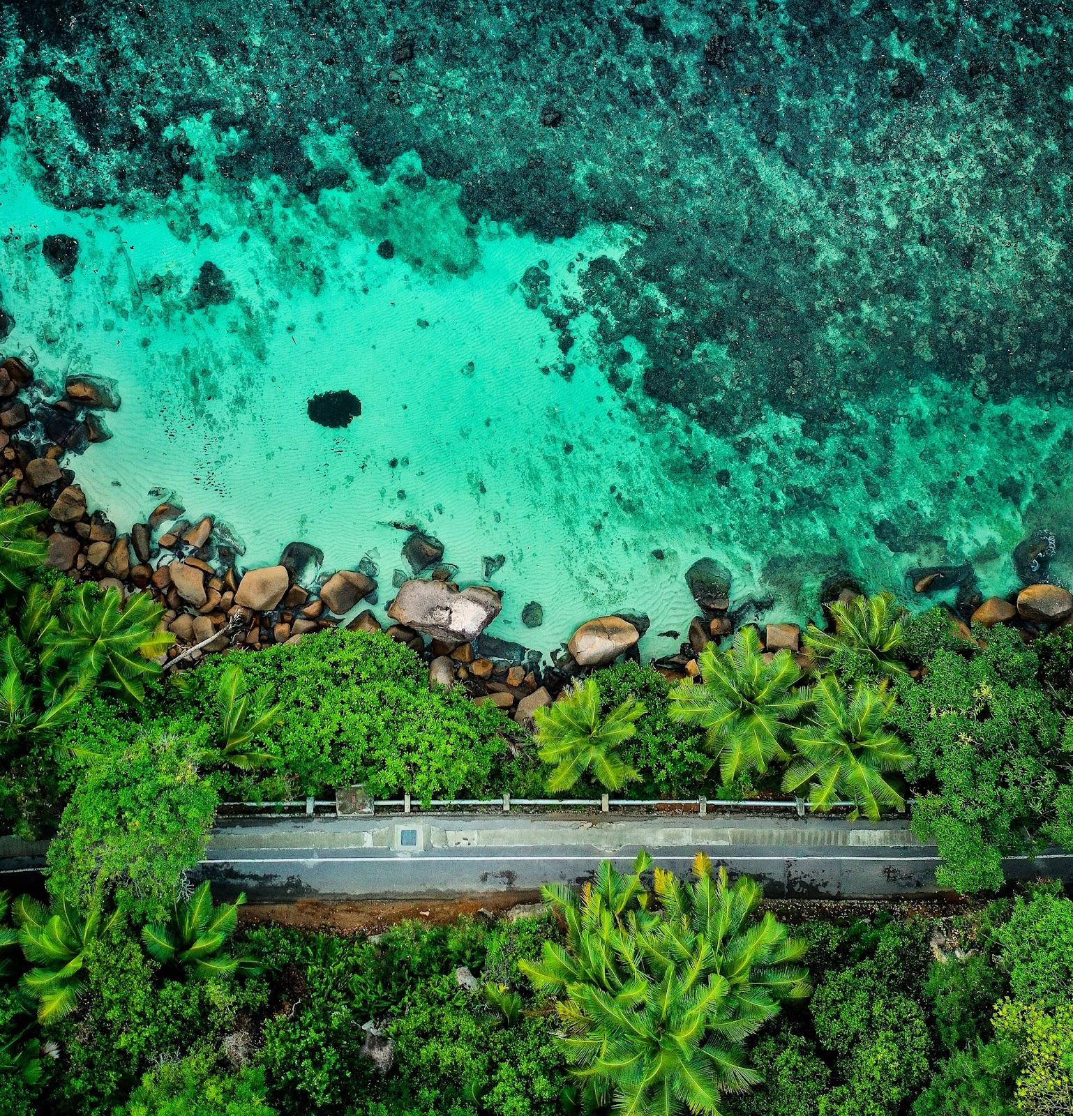 Blue ocean next to a tropical rain forrest with a road going through it.