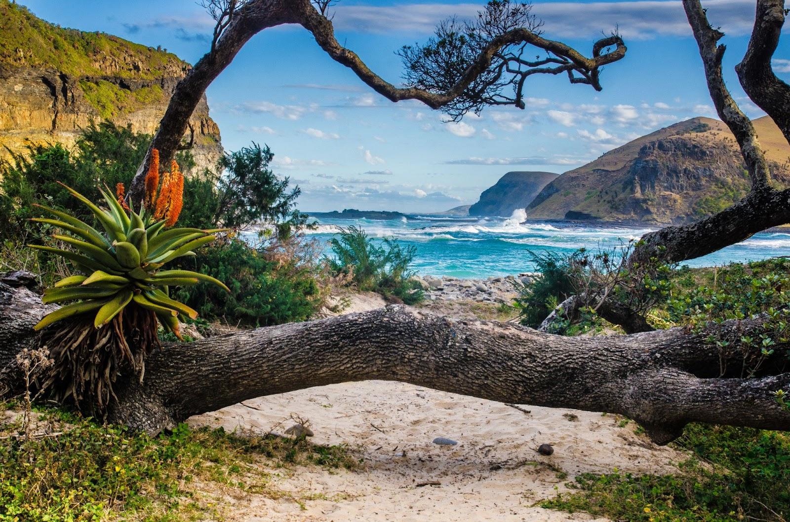 A stunning south African beach.