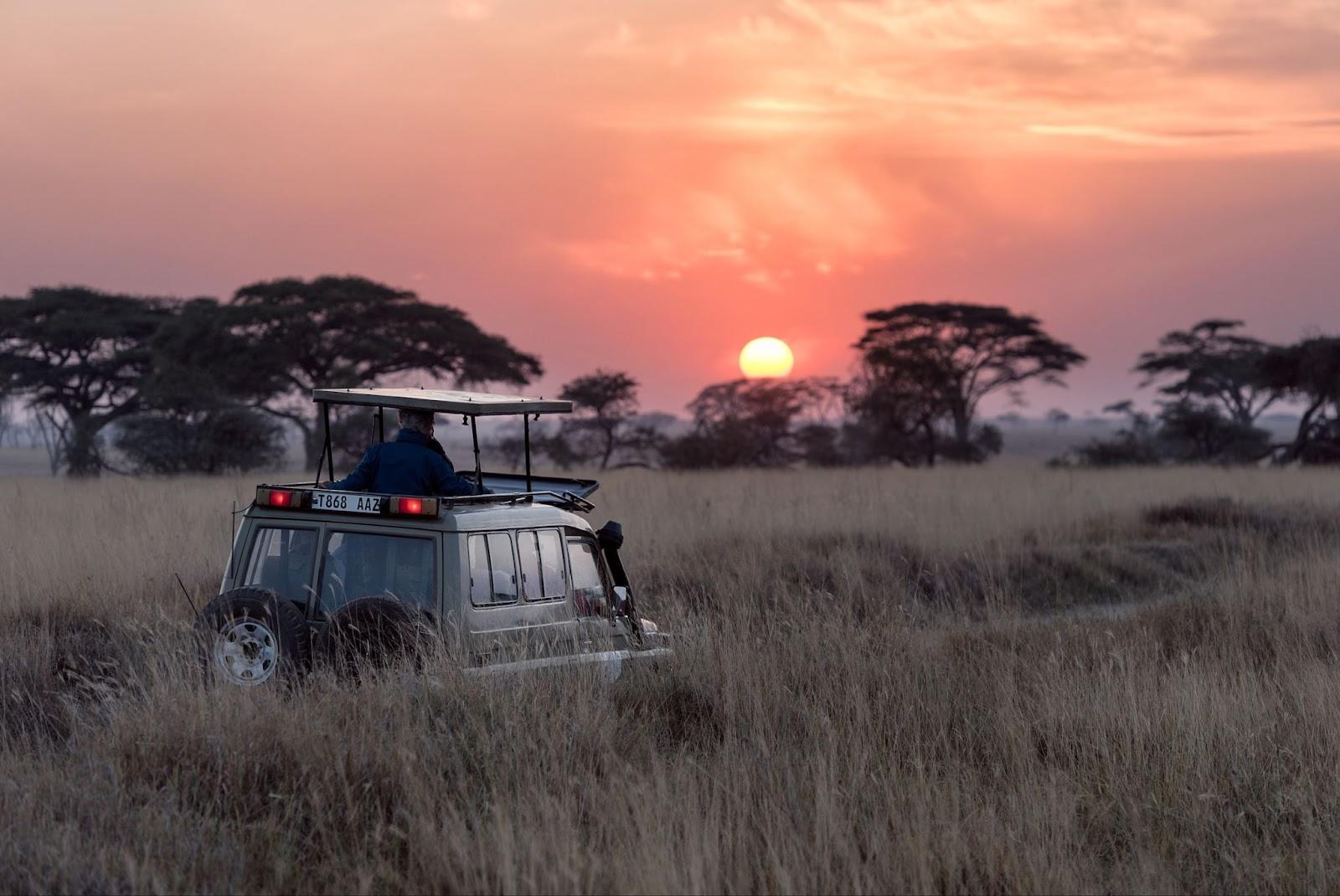 Safari tour in the Serengeti  at sunset 