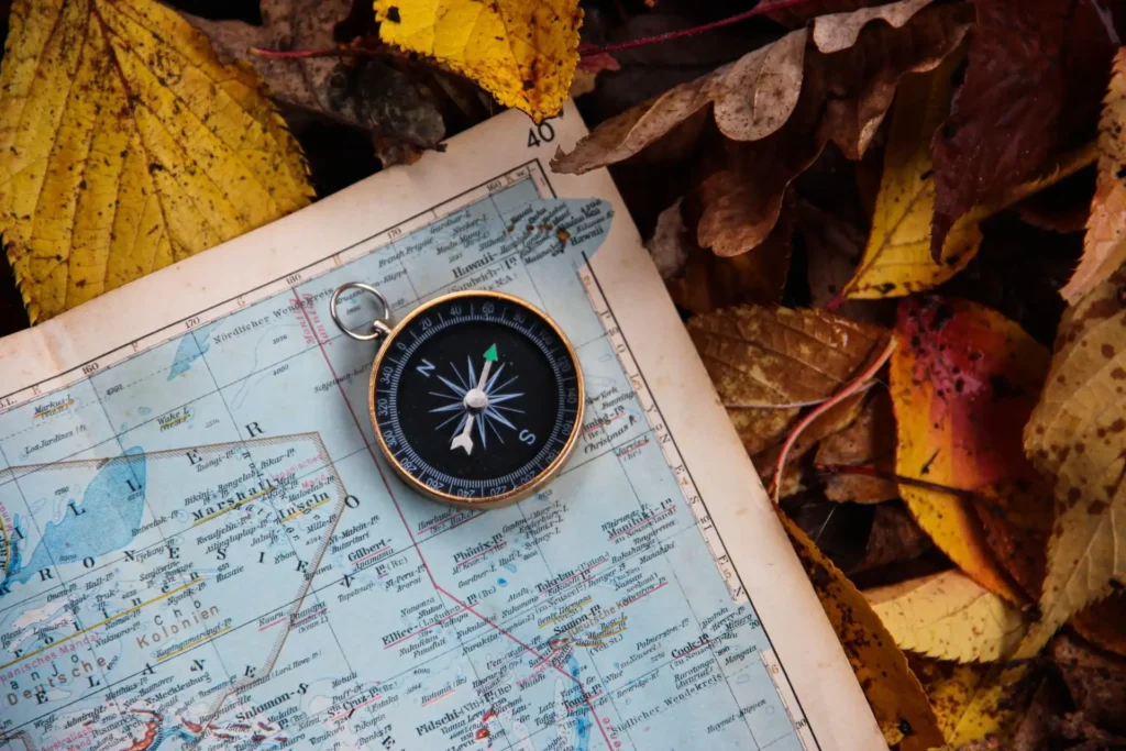 a world map and a compass resting on a pile of fallen leaves