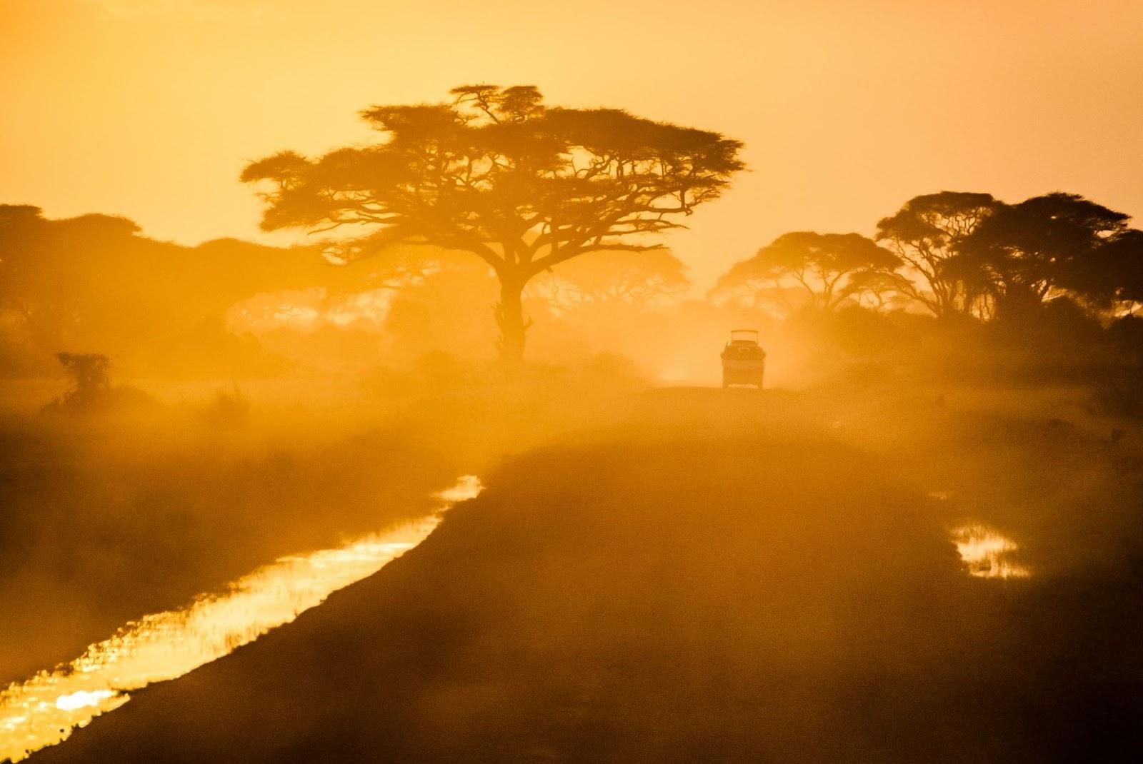 a jeep driving down the mud pathways of the Serengeti 
