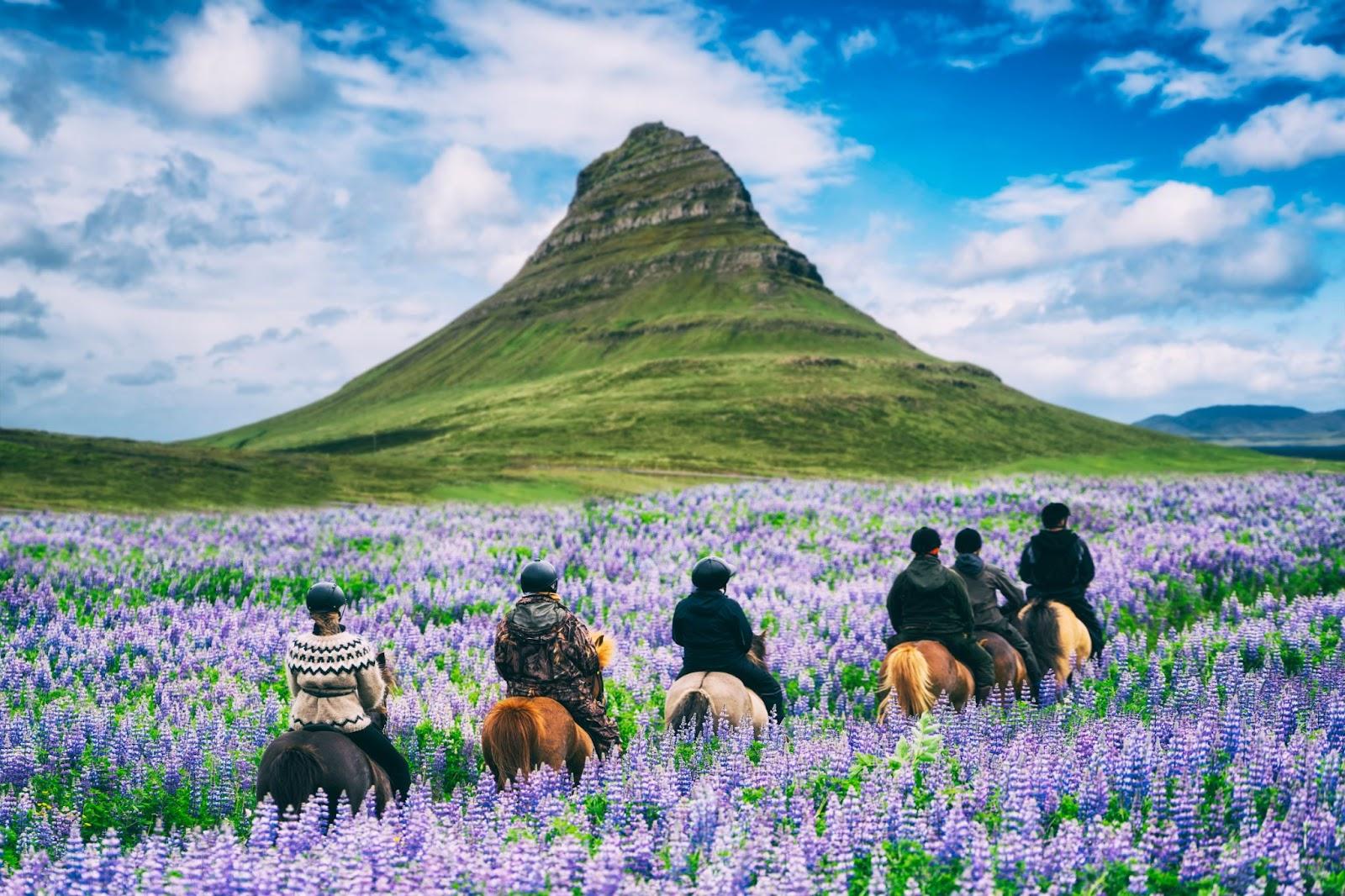 6 people on a pony trading adventure in Iceland. 