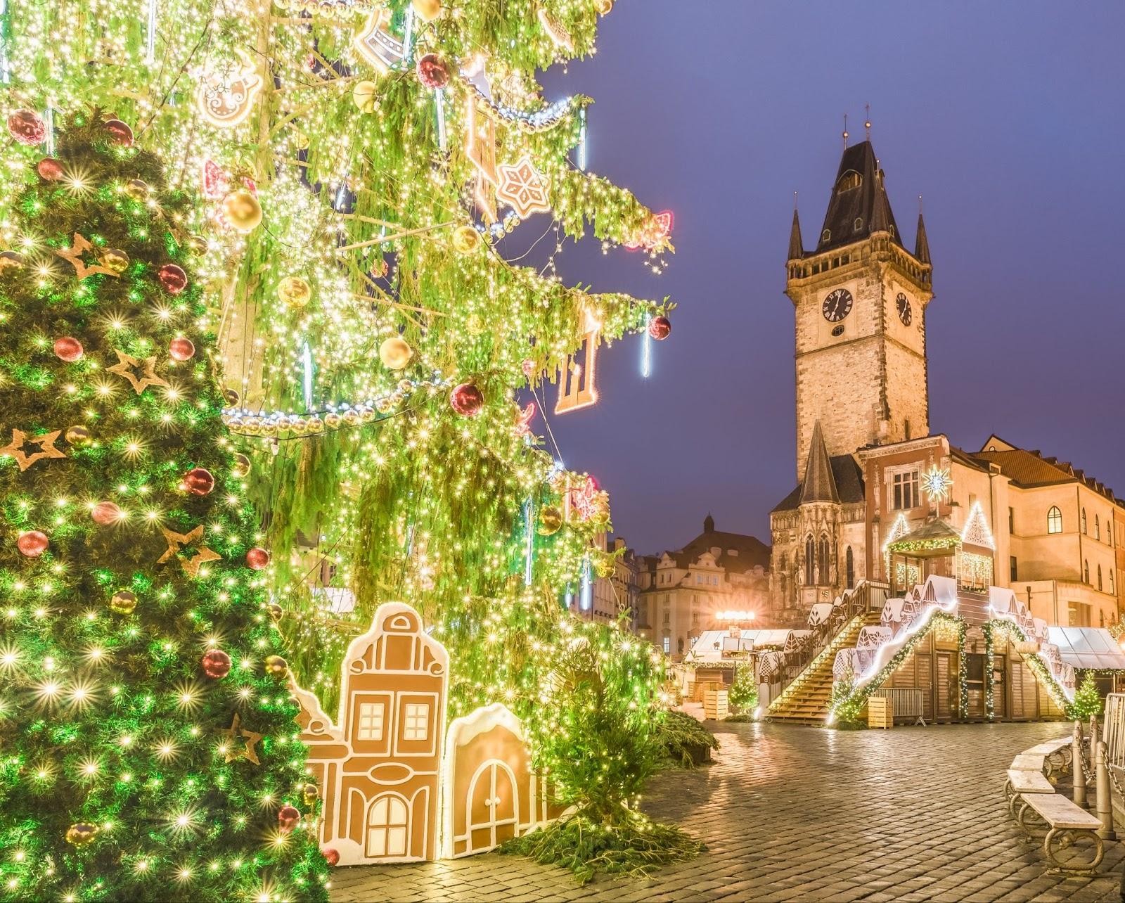 Christmas market in Prague decorated with Christmas trees.
