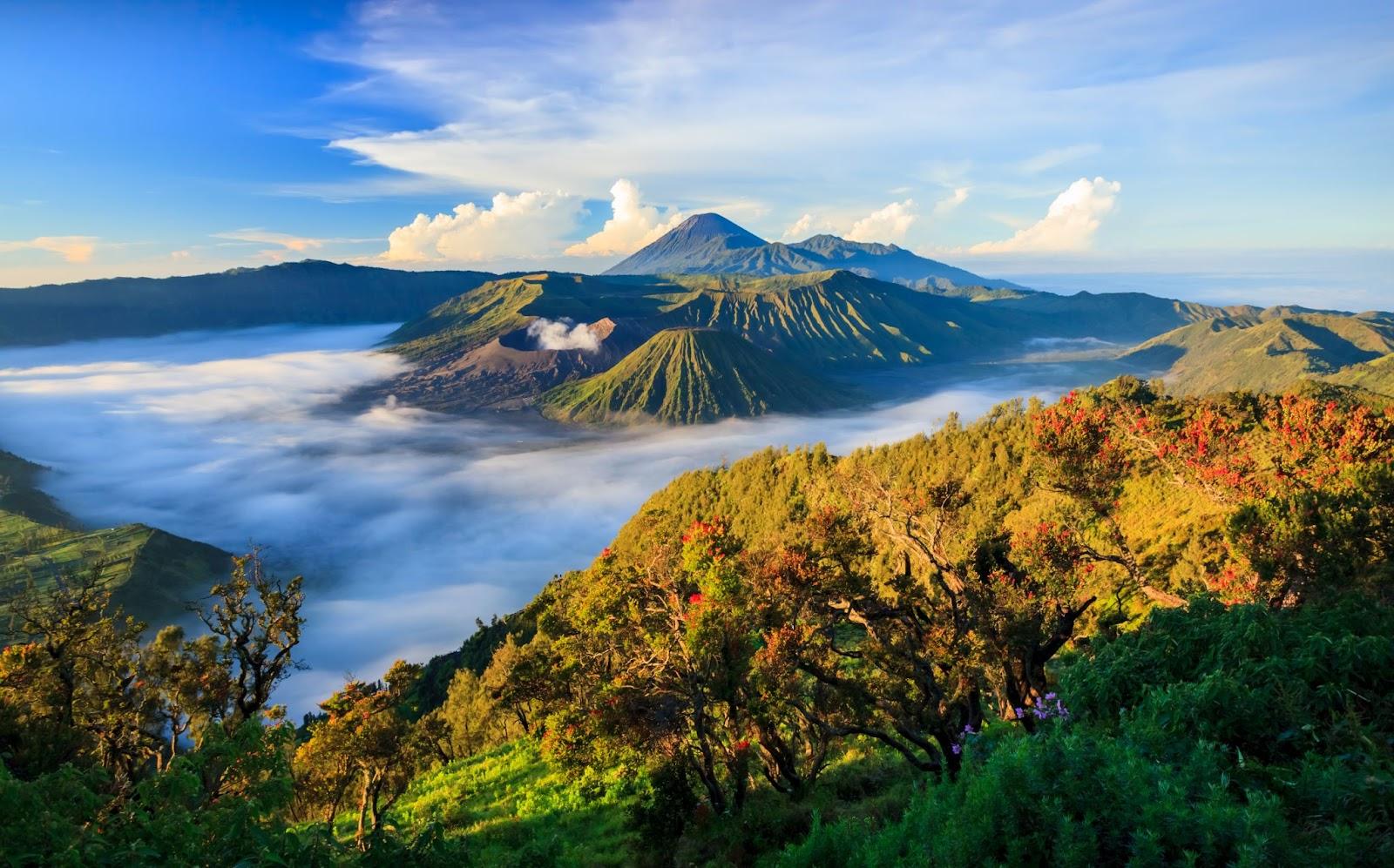 An Indonesian mountain. 