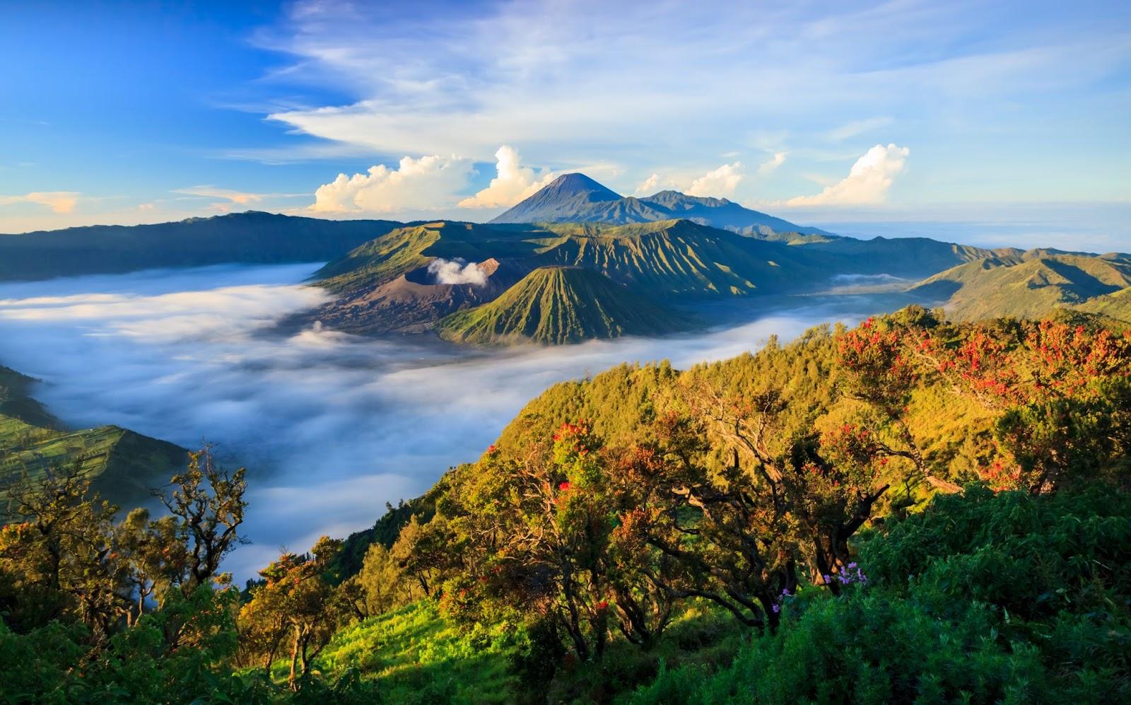 An Indonesian mountain.