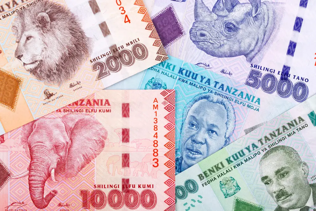 Tanzanian banknotes