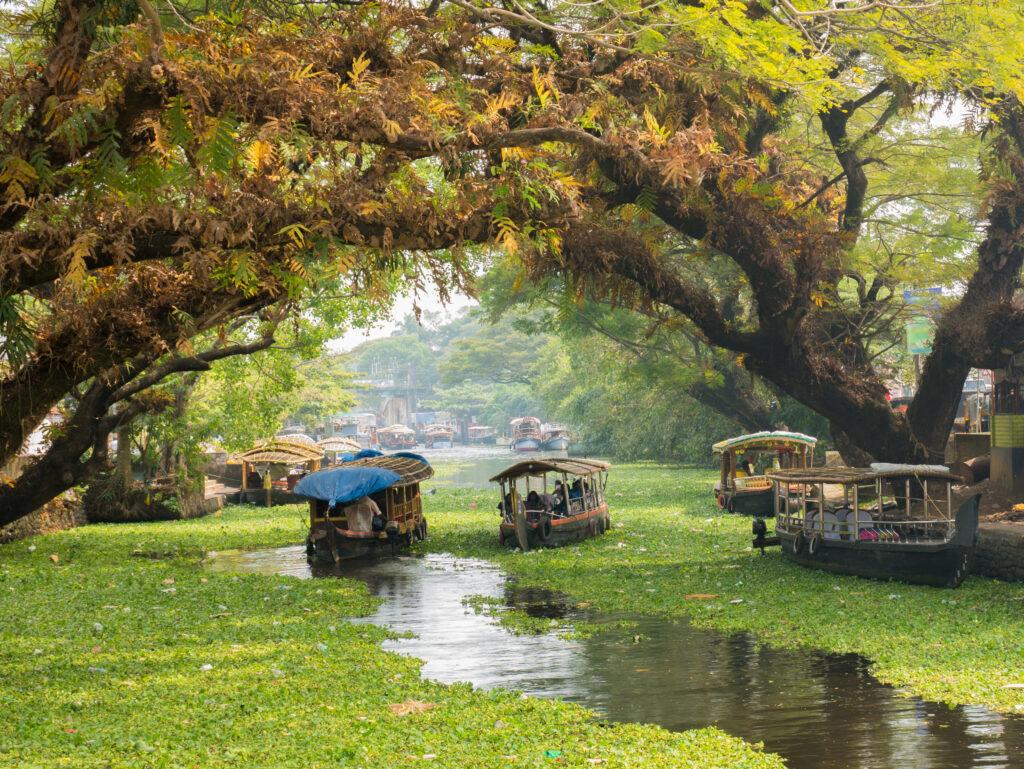 Houseboats on the backwaters of Kerala in Alappuzha (Alleppey).