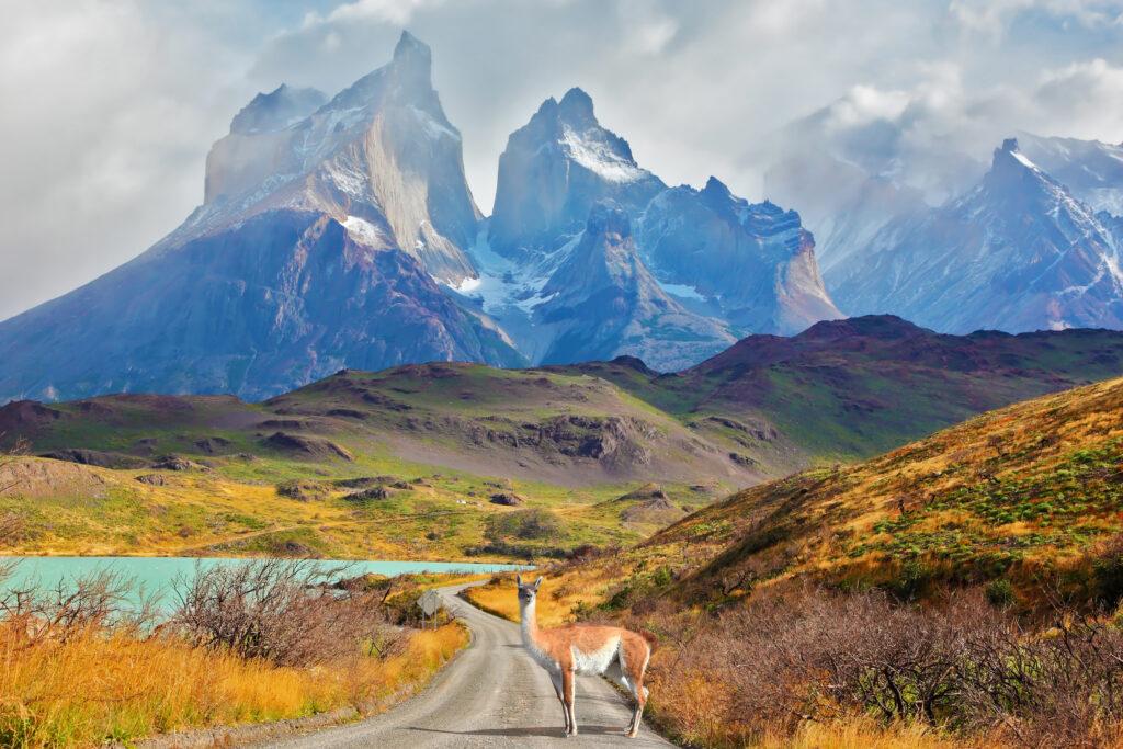 Majestic peaks of Los Kuernos over Lake Pehoe. On a dirt road is worth guanaco - Lama. The national park Torres del Paine, Patagonia, Chile.