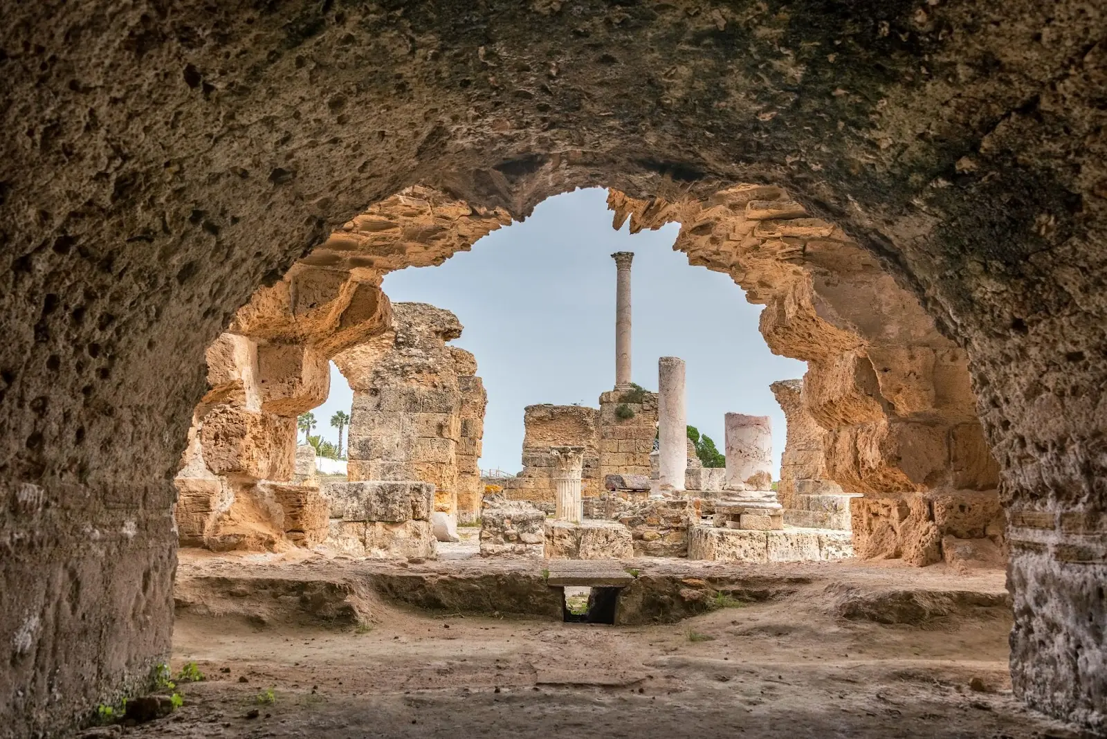 An ancient Tunisian algological site.