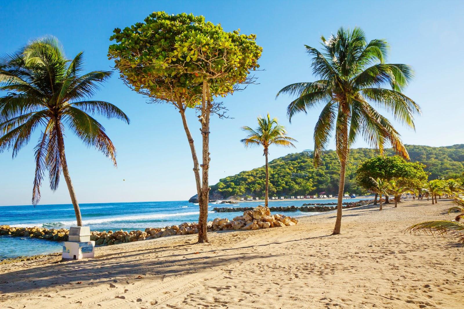 Haitian beach with yellow sand and palm trees