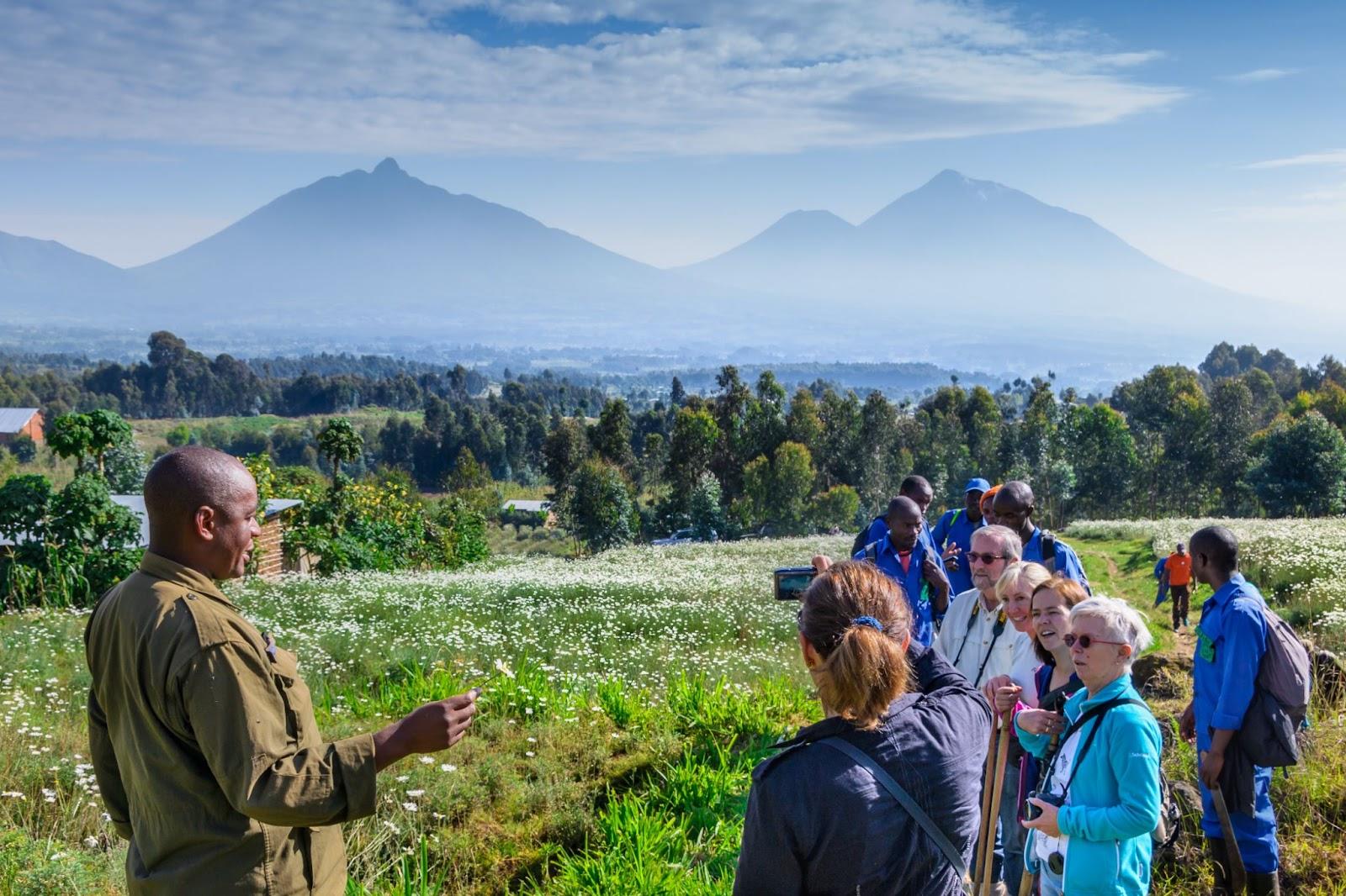 group of tourists and gide climbing up the slopes to Gorillas in Volcanoes National Park , Rwanda