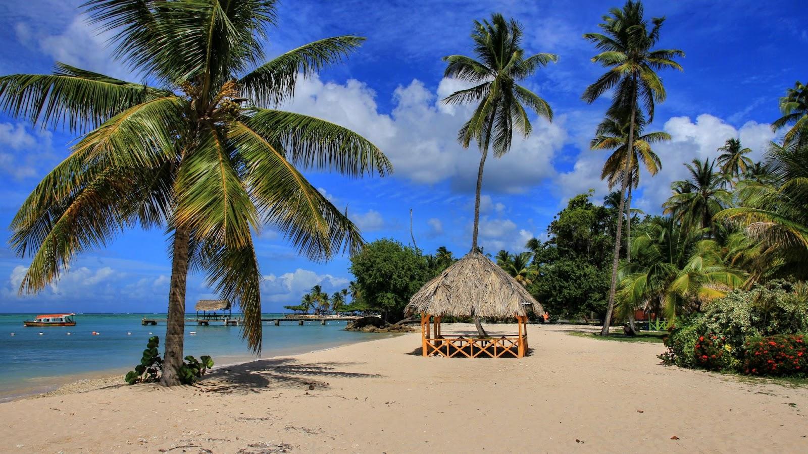 Caribbean beach with palms Trinidad and Tobago