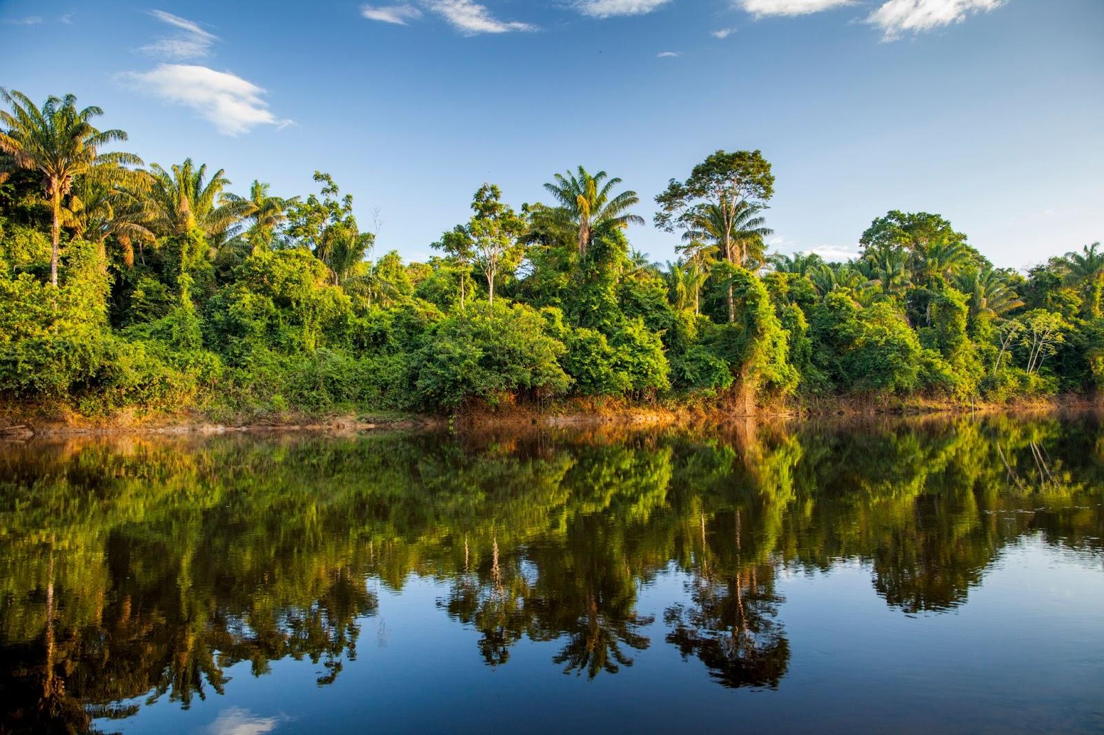 View on the Suriname river in Upper Suriname, Awarradam jungle camp