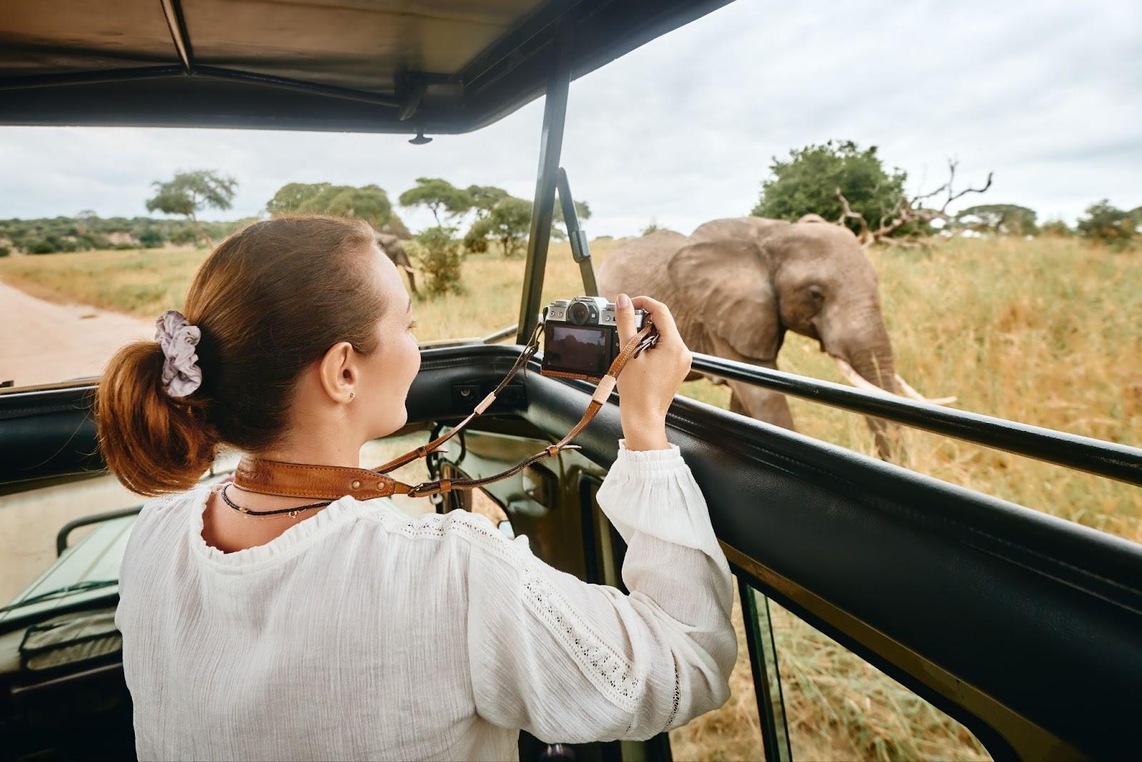 Woman tourist on safari in Kenya, travelling by car, watching elephants in the savannah.