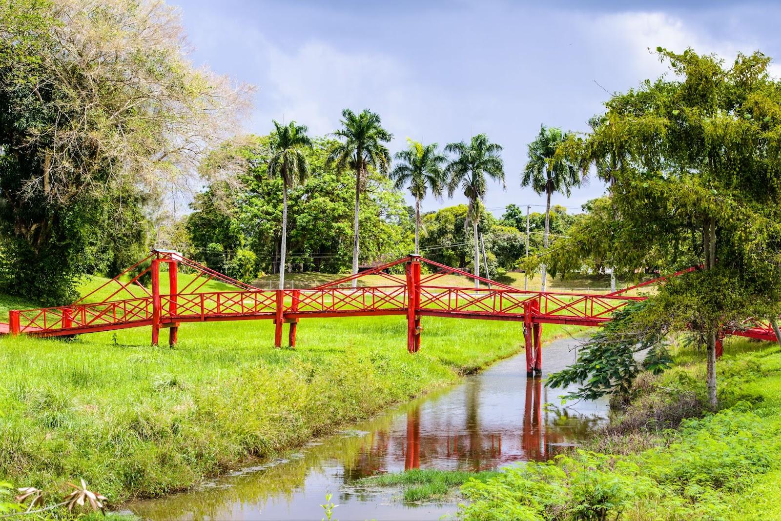 Red bridge over the river in Suriname

