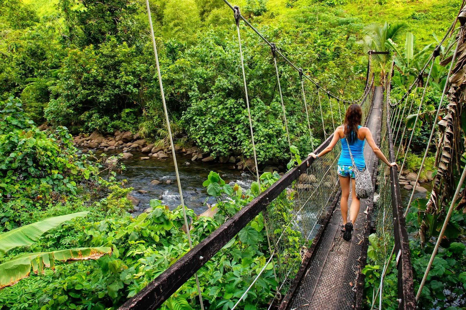 Young woman walking on suspension bridge over Wainibau stream, Lavena Coastal Walk, Taveuni Island, Fiji.