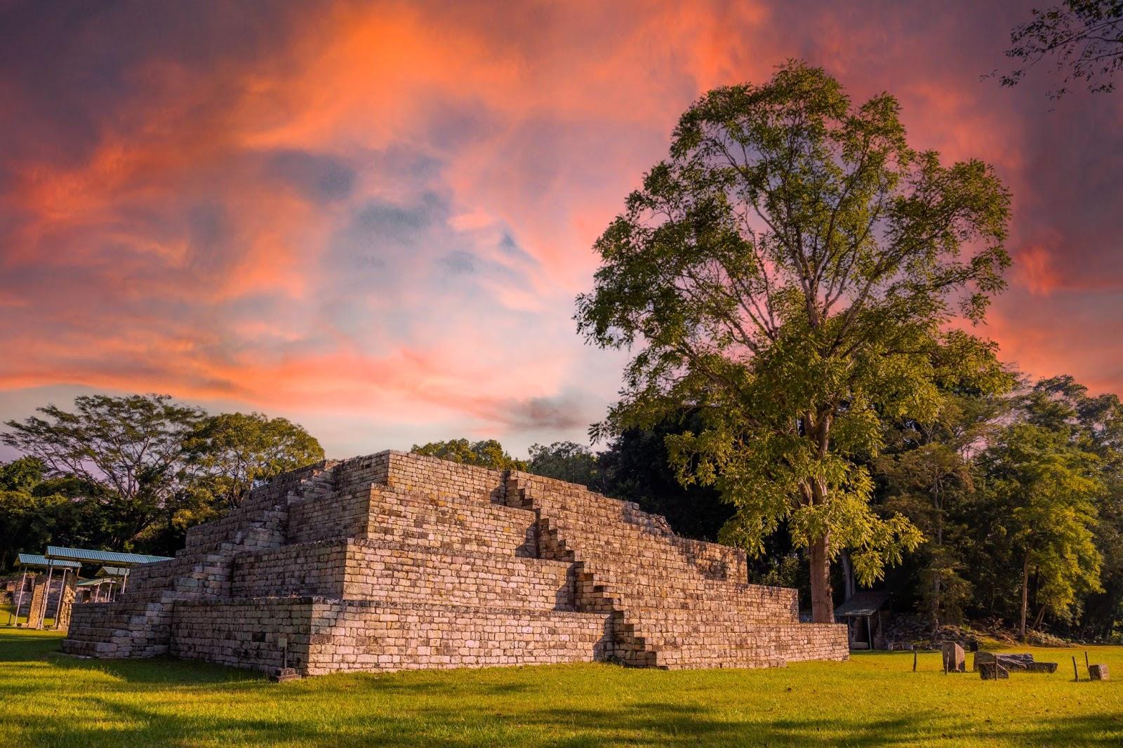 A Mayan pyramid next to a tree at the Copán Ruinas temples in a beautiful orange sunrise. Honduras.