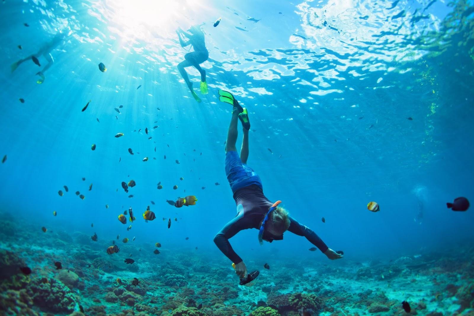 people snorkelling in the ocean in The Bahamas