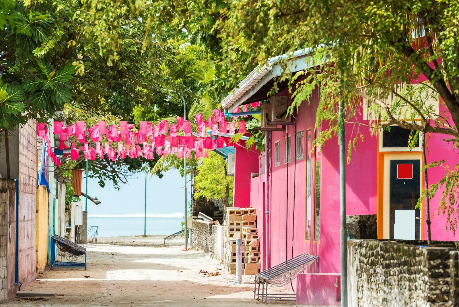 View of pink buildings, Male, Maldives. 