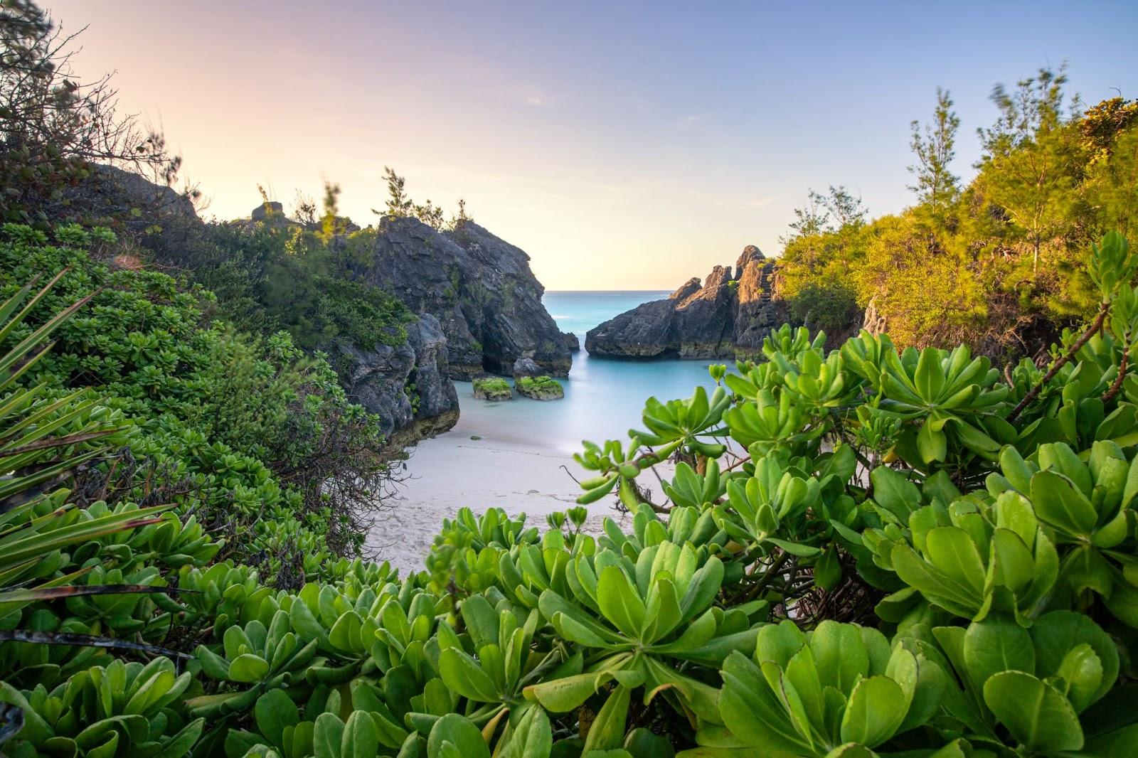 Isolated cove with crystal clear still water, surrounded by vibrant green foliage as early morning light starts to light up the sky. Jobsons Cove, Bermuda