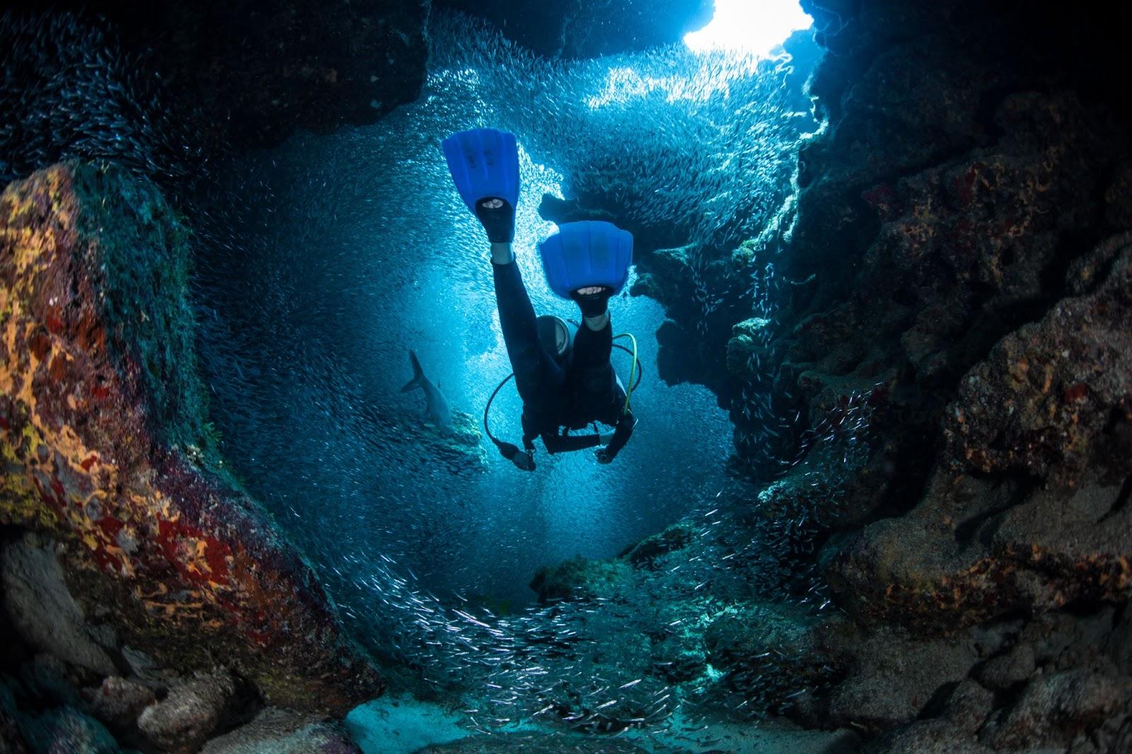 A diver explores the cracks, crevices and holes in a coral reef on the island of Grand Cayman.
