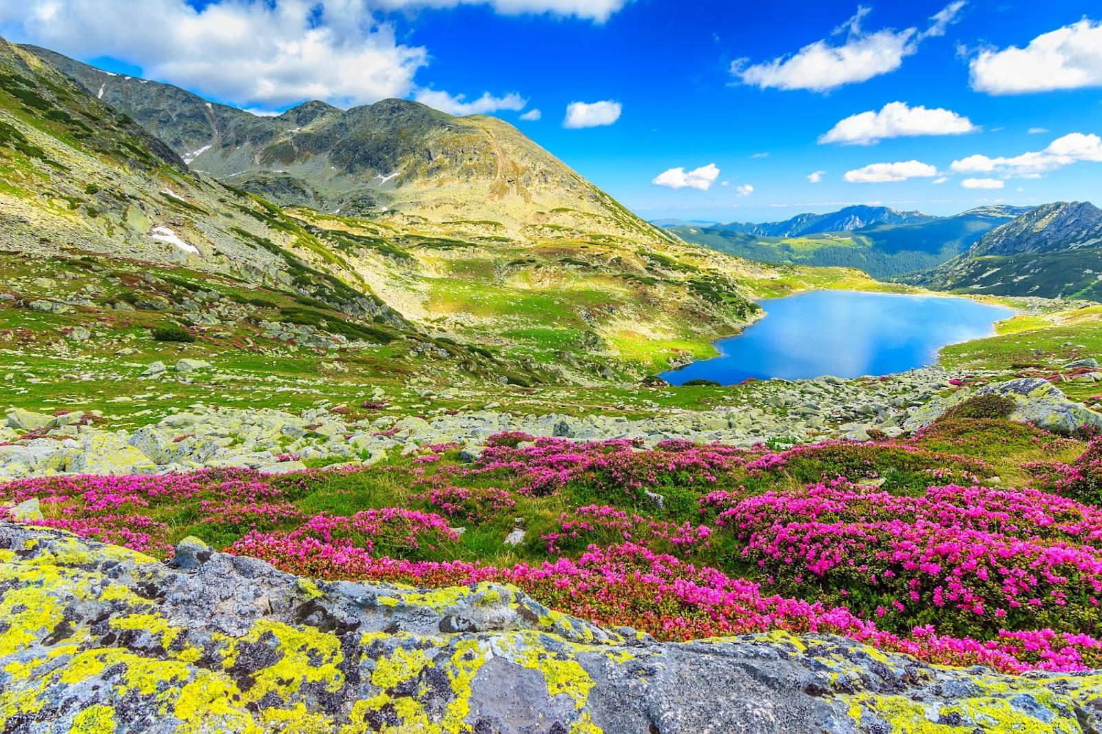 Retezat National Park Carpathians Romania