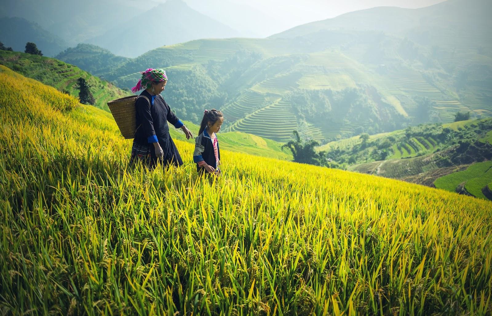 Mother and daughter walking through a rice paddy field in Malaysia.