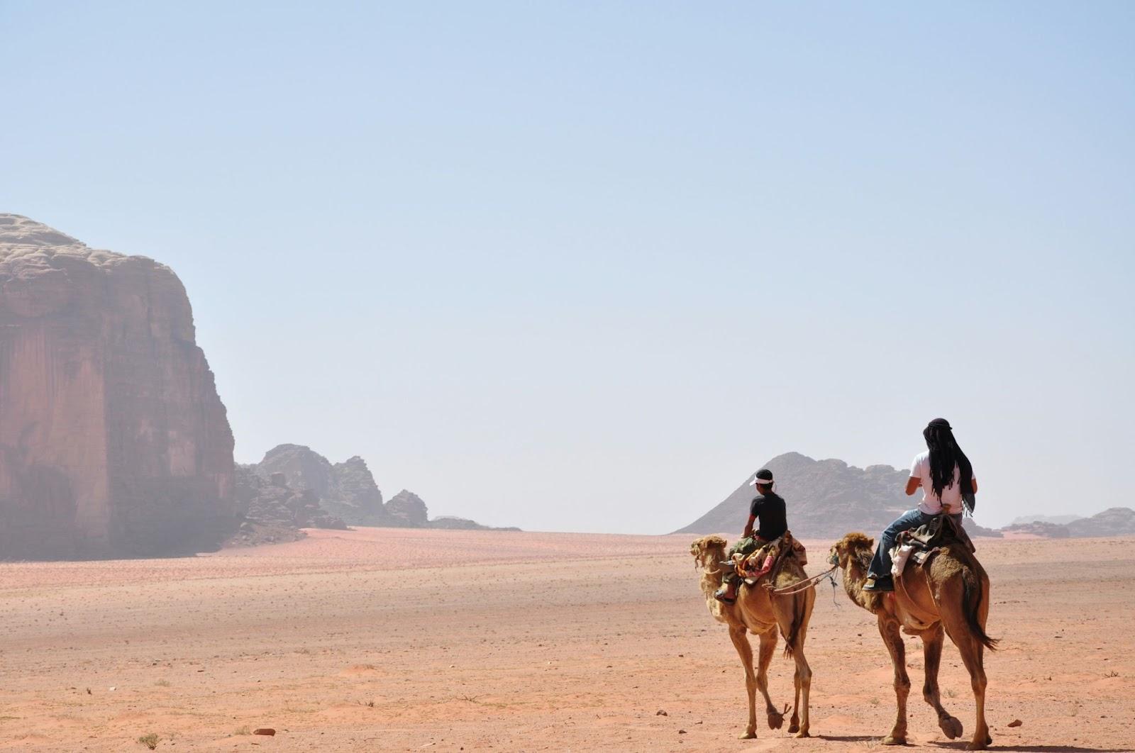 Camels trekking tourists in Wadi Rum