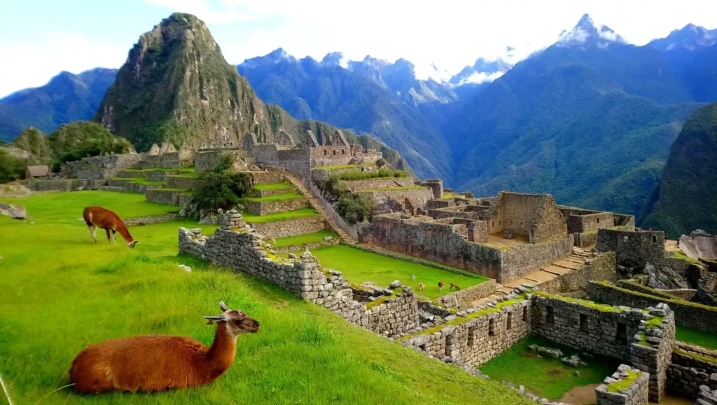 Machu Pichu with Llamas