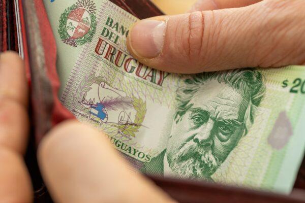 Uruguayan money. hands opening wallet with Uruguayan peso