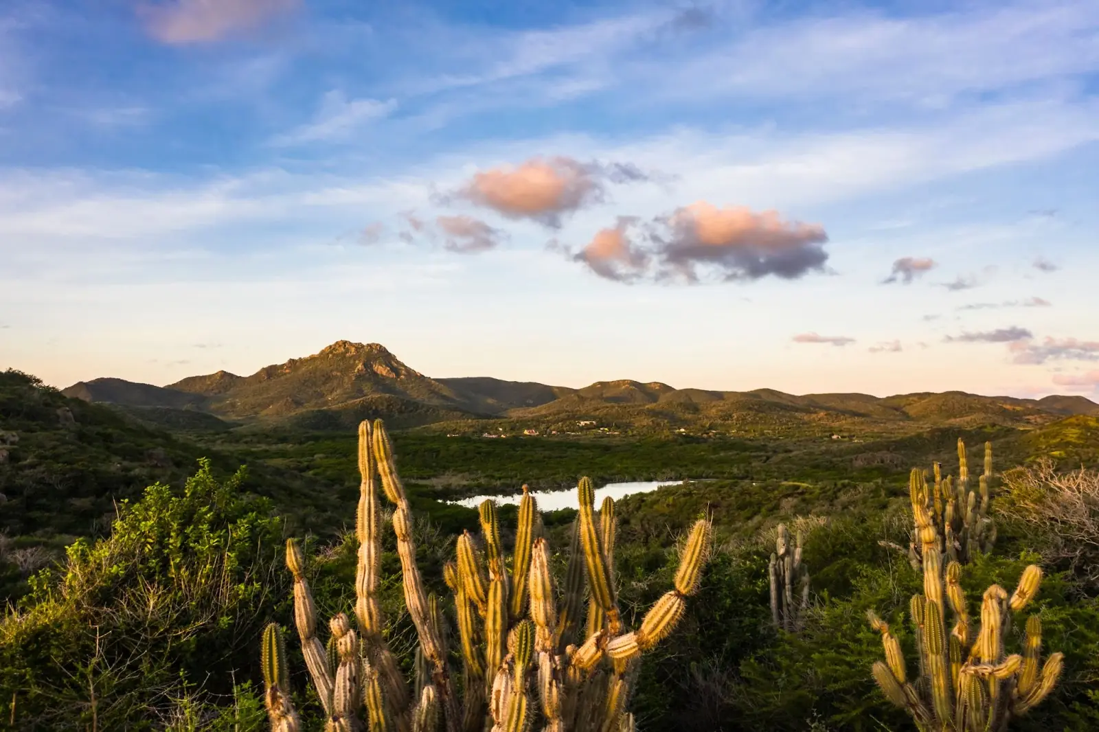 Aerial view above scenery of Curacao