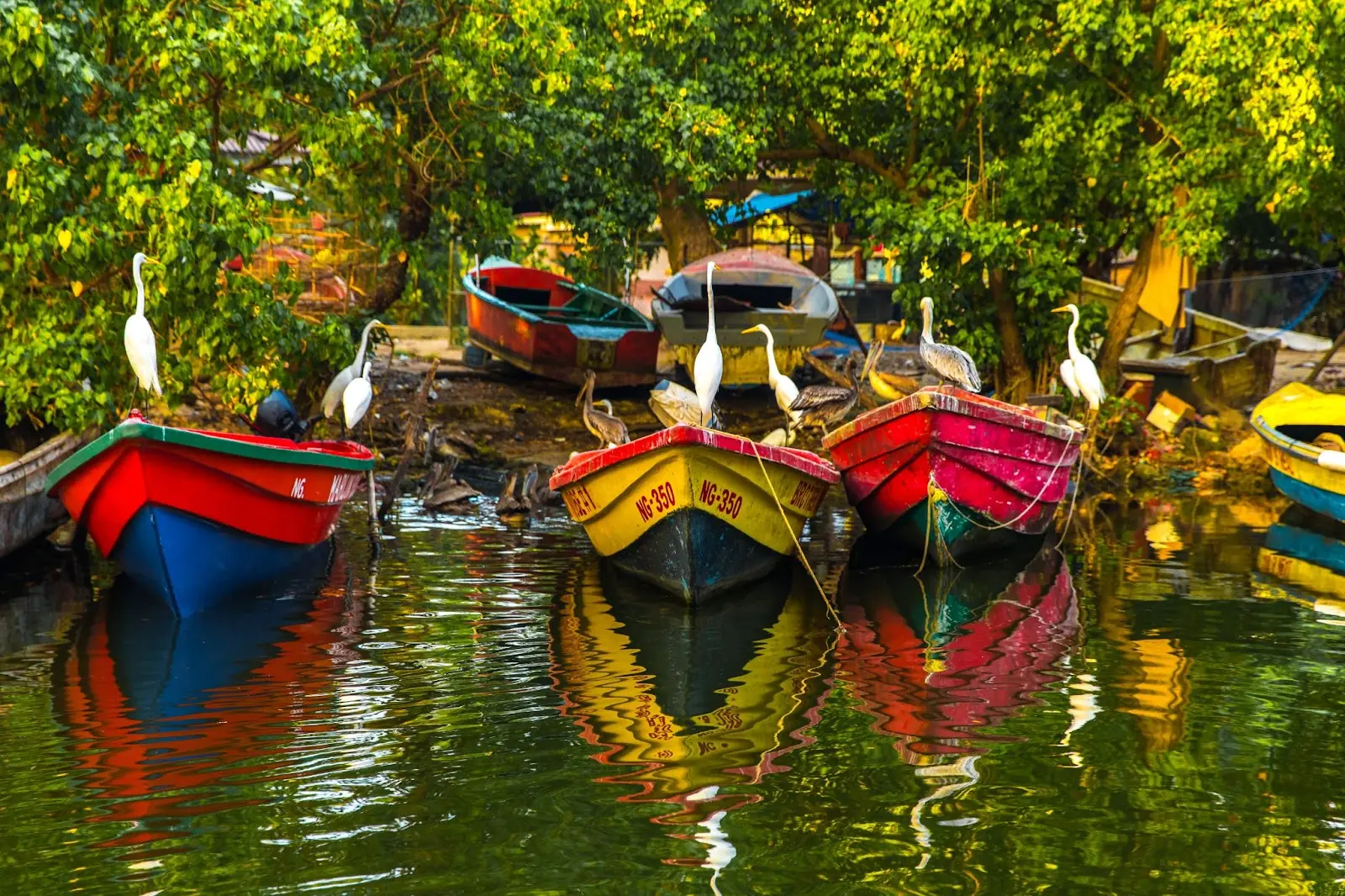 Floating boats in Negril, Jamaica