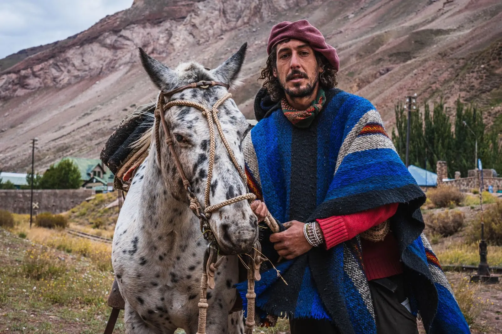 Argentine Gaucho with his horses