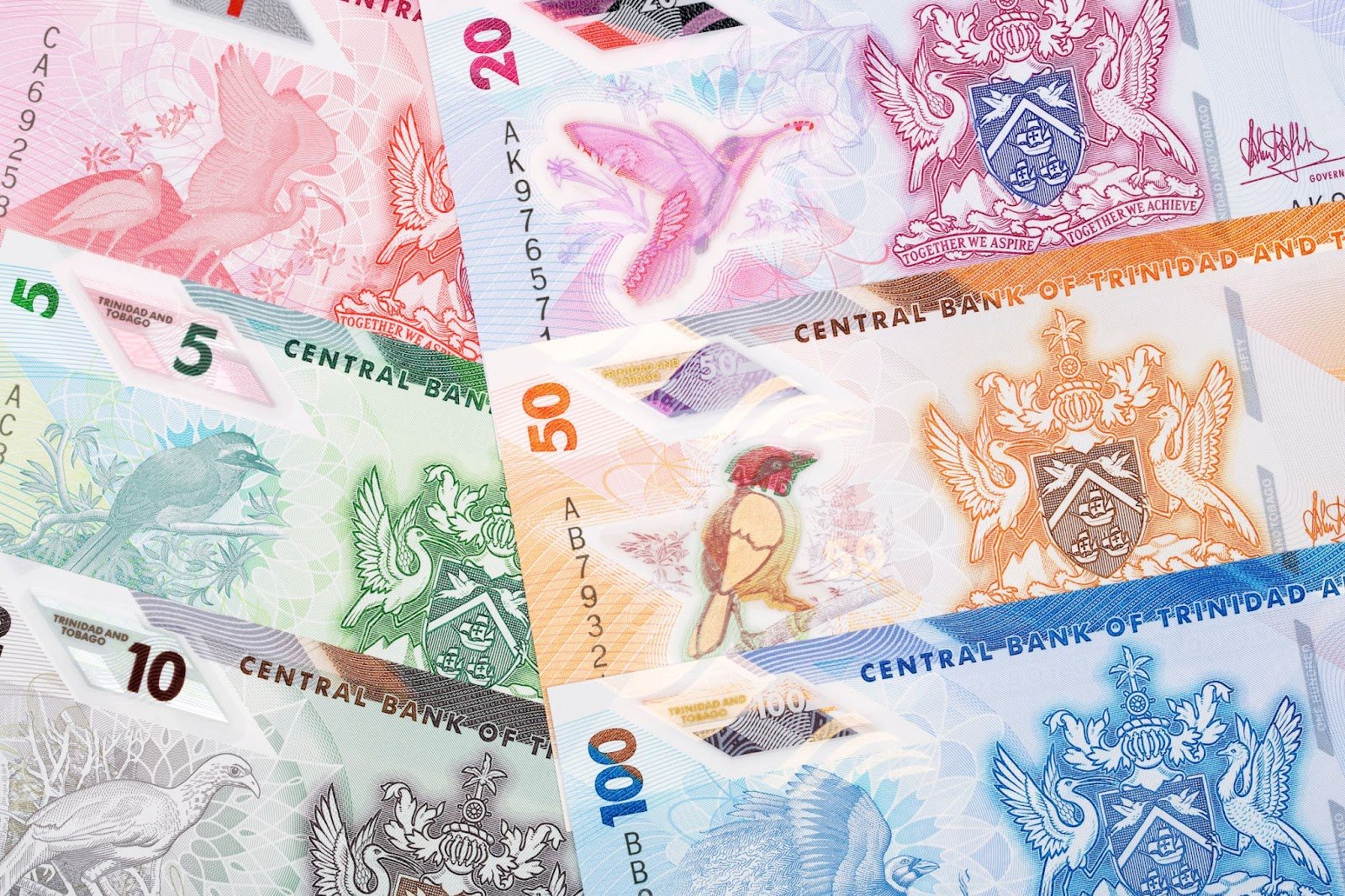 Colourful banknotes laid out on a table